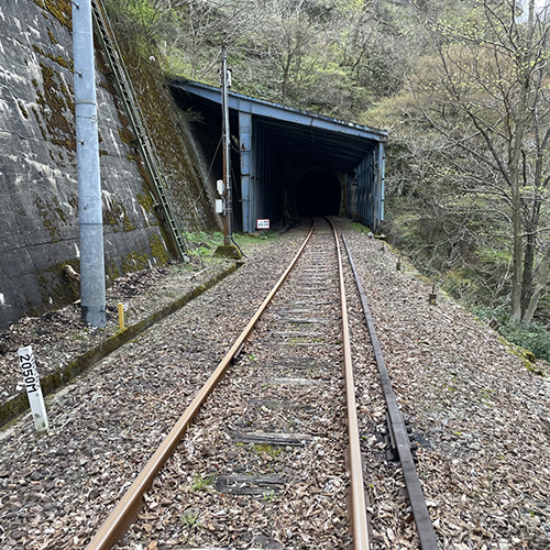 鉄道軌道や周辺への落石監視